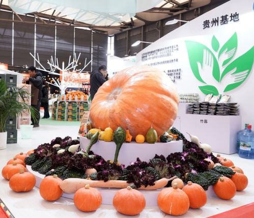2019第六屆上海國際現代農業(yè)品牌暨特色優(yōu)質農產品貿易博覽會綜述 農產品貿易新機遇