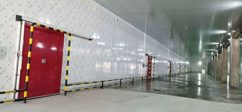 專業(yè)保鮮，智造未來——佛山食品保鮮冷庫(kù)工程廠家，為食品廠與農(nóng)產(chǎn)品提供全方位儲(chǔ)存方案