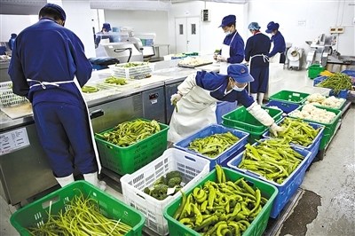 新京報(bào) 好新聞，無(wú)止境——探索中國(guó)農(nóng)產(chǎn)品背后的故事