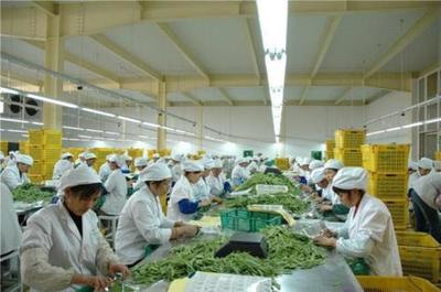 農產品深加工 解鎖農業(yè)價值鏈潛力的關鍵領域